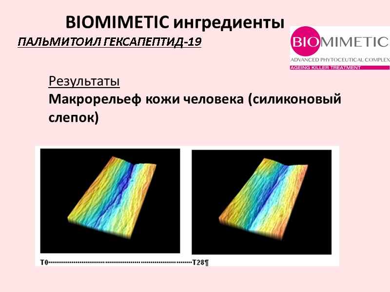Результаты Макрорельеф кожи человека (силиконовый слепок)  ПАЛЬМИТОИЛ ГЕКСАПЕПТИД-19  BIOMIMETIC ингредиенты